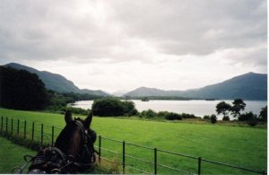A ride through Killarney